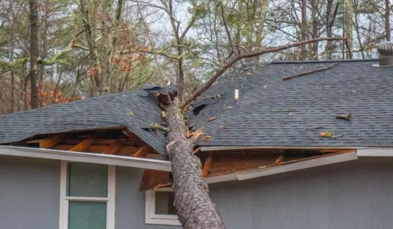 a fallen tree trunk on a house roof | Storm Damage