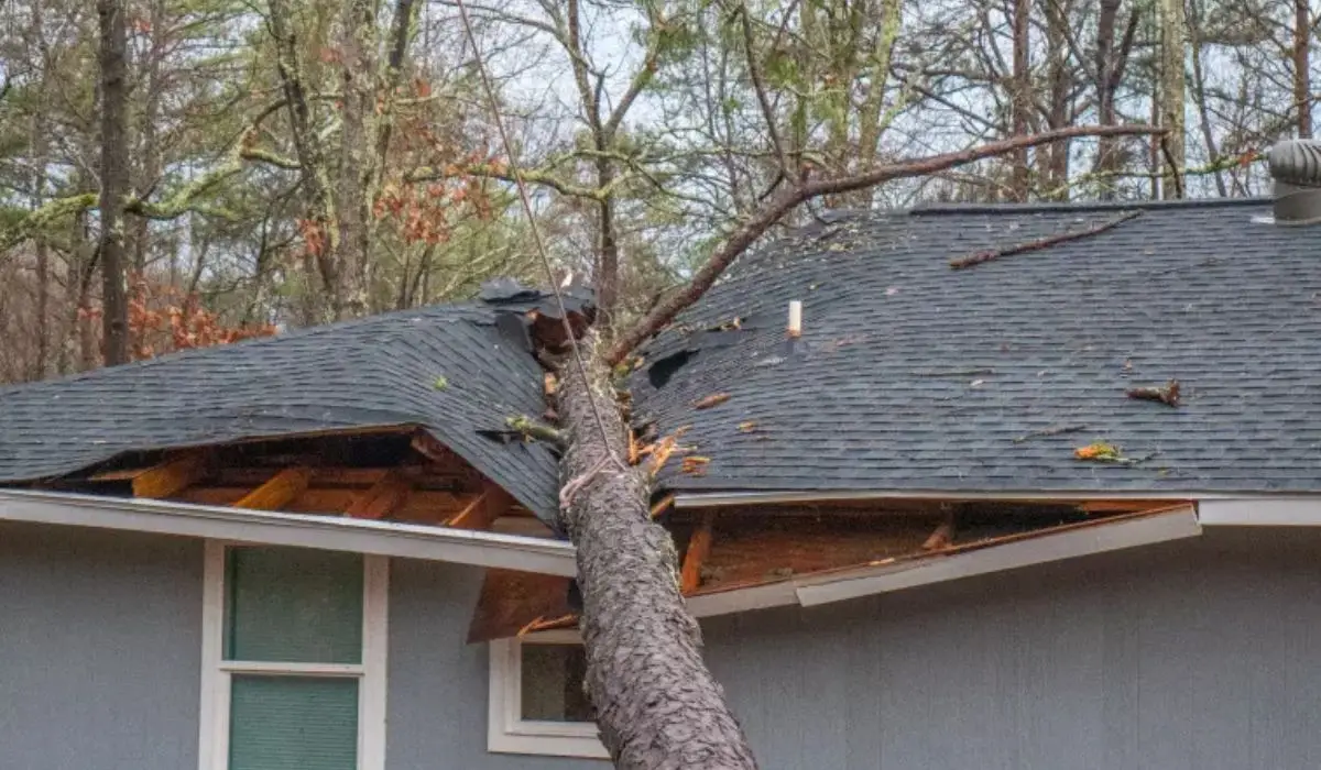a fallen tree trunk on a house roof | Storm Damage